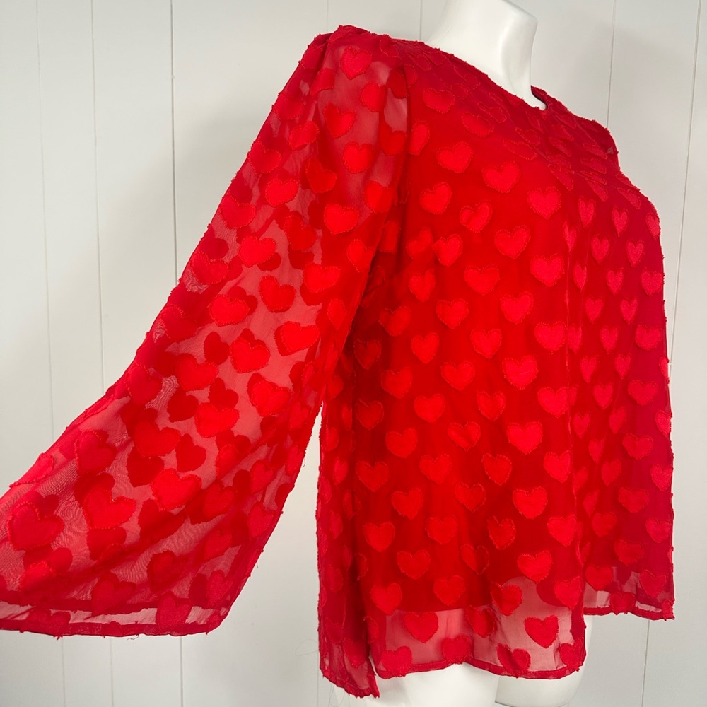NEW Cato Red Sheer Embroidered Hearts Lace Tunic Top Sz 14/16W St Valentines Day - Picture 4 of 13